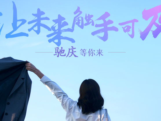 团队与人才